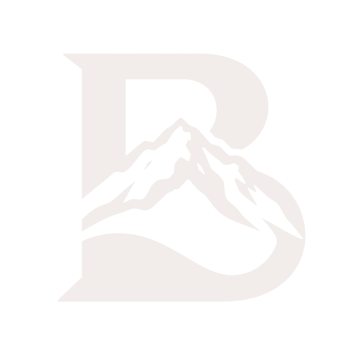 berdyev.com